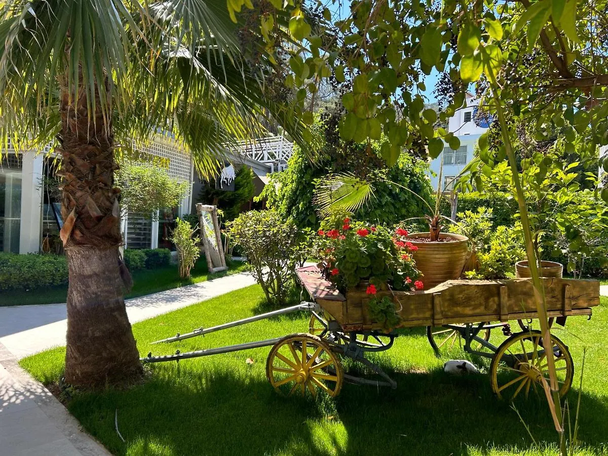 Marina Boutique Hotel Фетхие 3*,  Турция